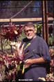 Don Beadle and Billbergia 'Last Hurrah'