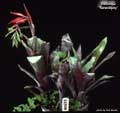 Billbergia 'Serendipity'