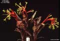 Billbergia 'Las Manchas'