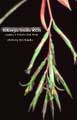Billbergia Beadle #0029