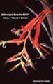 Billbergia Beadle #0071