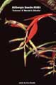 Billbergia Beadle #0983