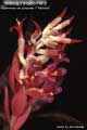 Billbergia Beadle #1012
