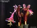 Billbergia Beadle #1411