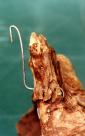 Attach wire (P6)