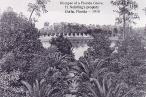 H. Nehrling property, Gotha, FL - 1910