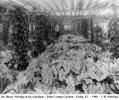 Dr. Nehrling and his caladiums