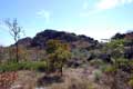 Campos rupestres